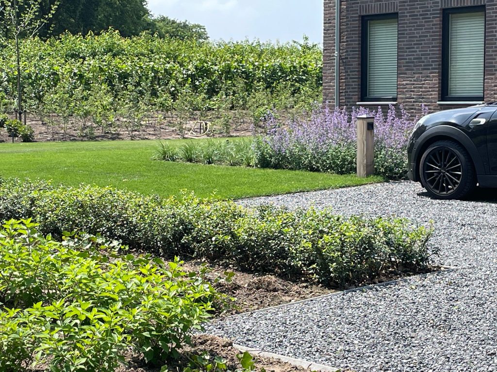 Aangelegde tuin rondom een vrijstaande woning