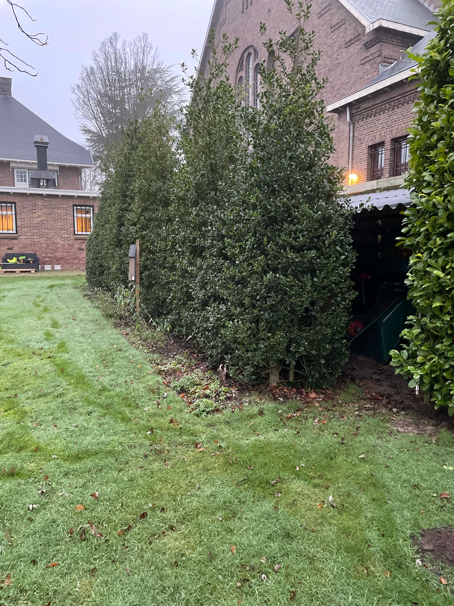 Tuinontwerp Pastoriewoning (Wernhout) — afbeelding 3